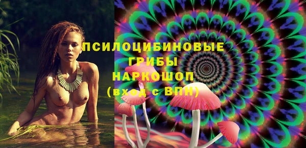 не бодяженный Осташков